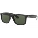 ΦΑΚΟΙ - RAYBAN RB4165 55mm DARK GREEN - ΑΞΕΣΟΥΑΡ RAYBAN